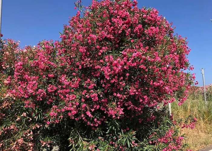 Bilocale Cugnana Costa Smeralda *